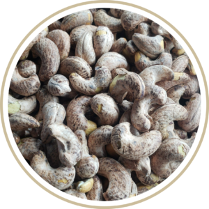 Salted Roated cashew